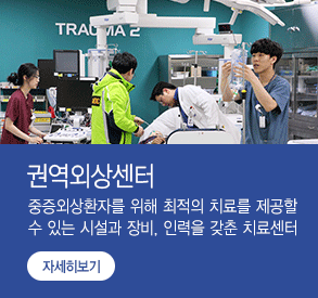 권역외상센터