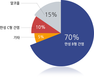 간경변의 원인